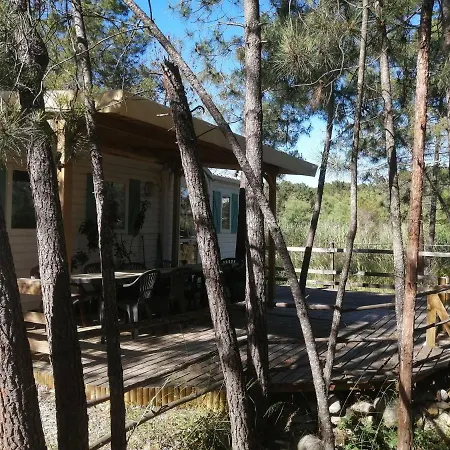 Residence Santa Ghisonaccia Buitenkant foto