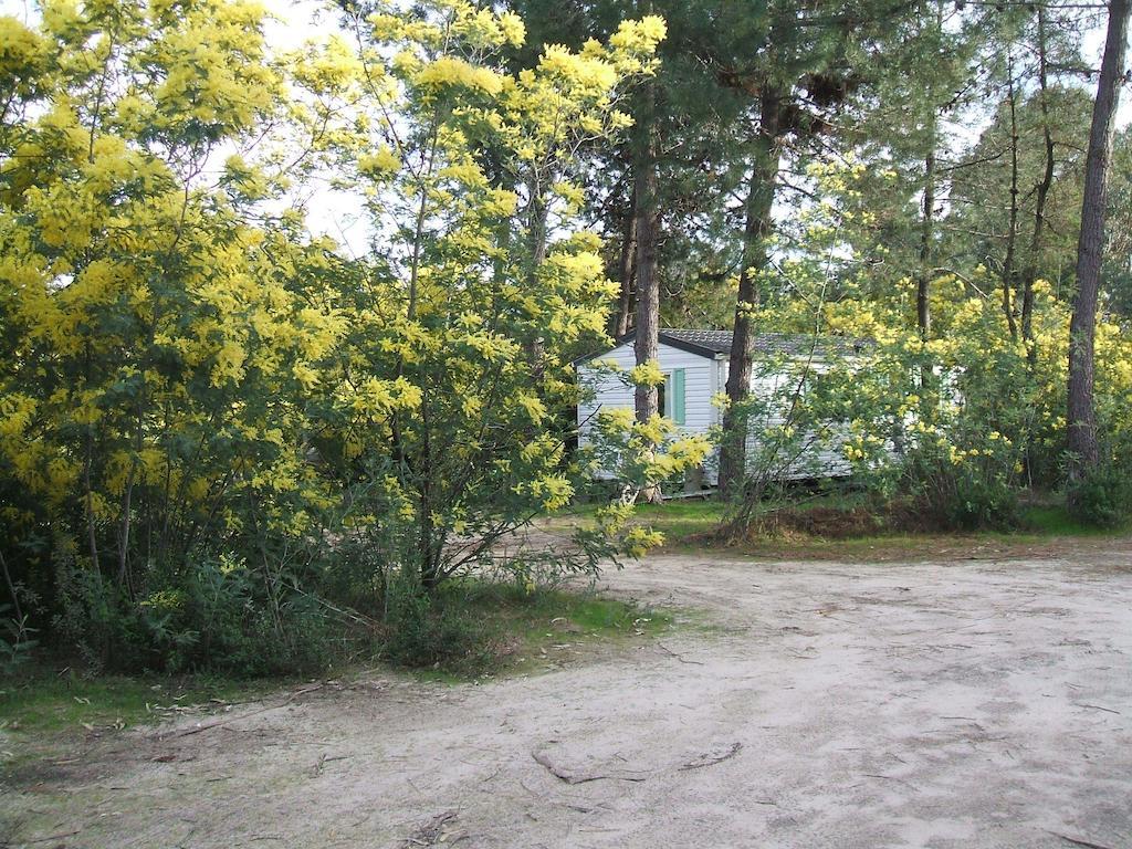 Santa Ghisonaccia
