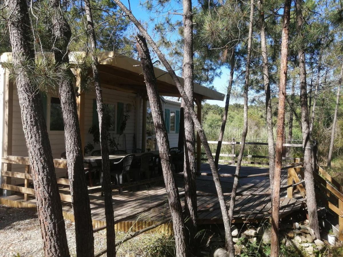 Santa Holiday home *